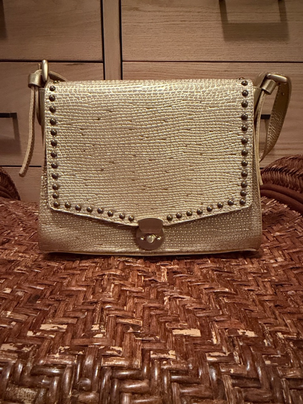 SAS Portrait Collection Crossbody Bag Textured Studded Flap Purse Neutral